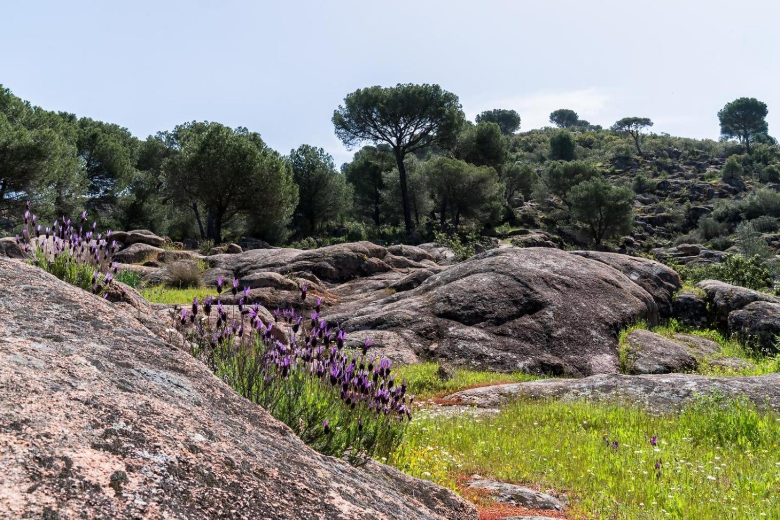 Casa El Paraiso Del Lago Alojamiento Rural Kordoba Bagian luar foto